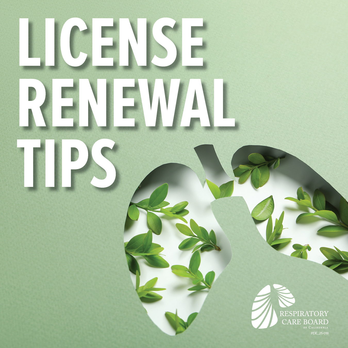 License Renewal Tips